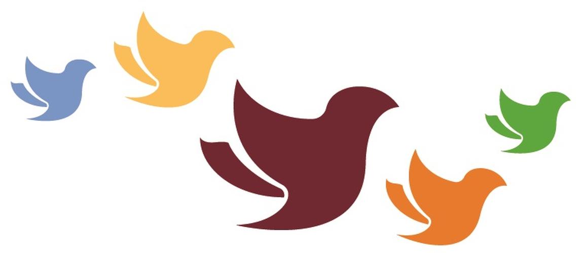 BSF Statement: National Indigenous Peoples Day